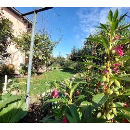  Annonces ANGLET : Maison / Villa | TARNOS (40220) | 105 m2 | 458 000 € 